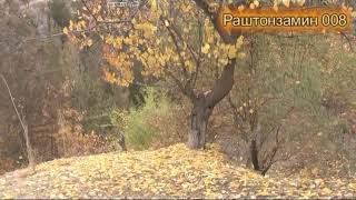 картинка: Манзарахои зебои Точикистон дар фасли хазонрез Рашт 2021