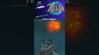 Zelda TotK 🗡️Frost Griock Battle #gaming #zelda #nintendo #gameplaynintendo #tearsofthekingdom