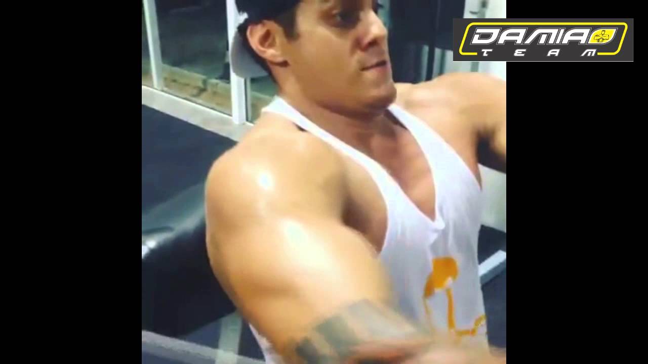 Os Ogros estão Na Academia.