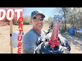 Pistol Accuracy Drill - DOT Torture