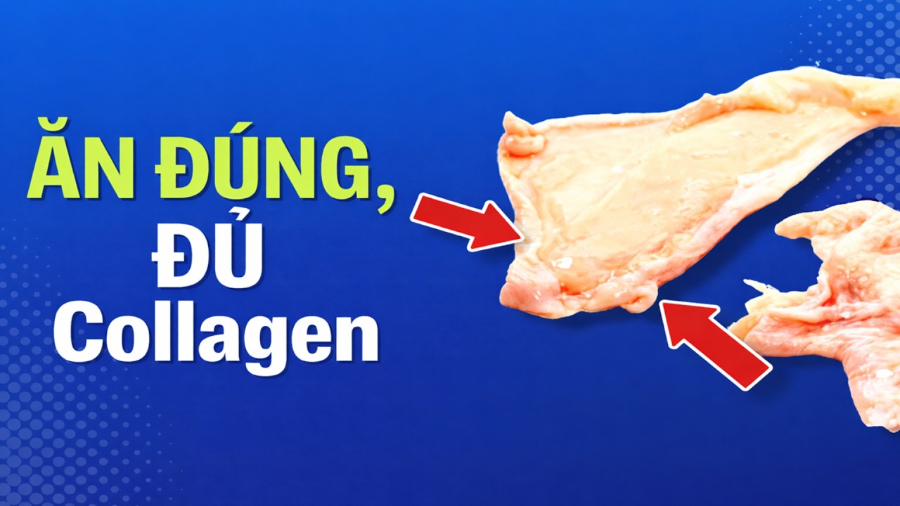 Các loại thực phẩm giàu collagen (8 loại thực phẩm bất ngờ) với lợi ích chống lão hóa!