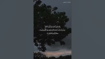{ولا تحزن عليهم}، #تلاوة_خاشعة لآخر #سورة النحل بصوت #الشيخ ياسر الفيّاض #قرآن #قران_كريم #المصحف #ﷺ