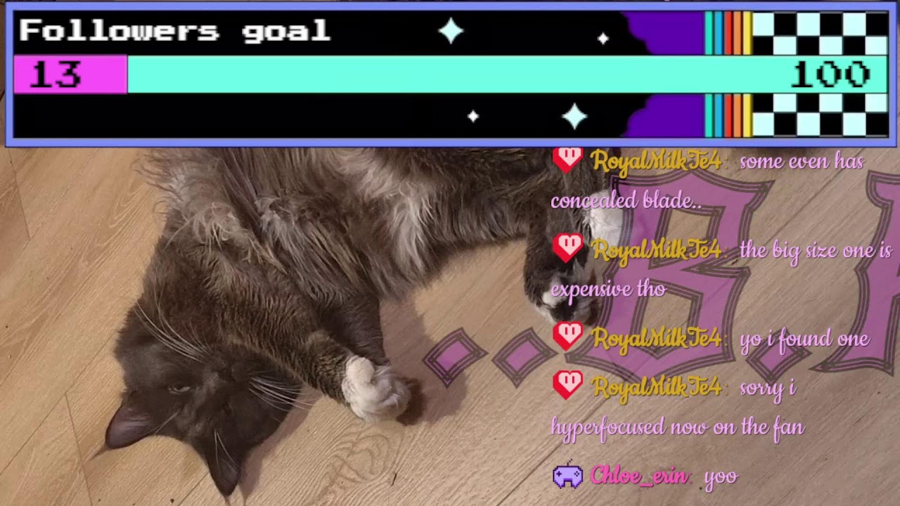 What Shall We Play Today