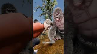 What Happens If You Fall Near A Gorilla ? ||#shorts