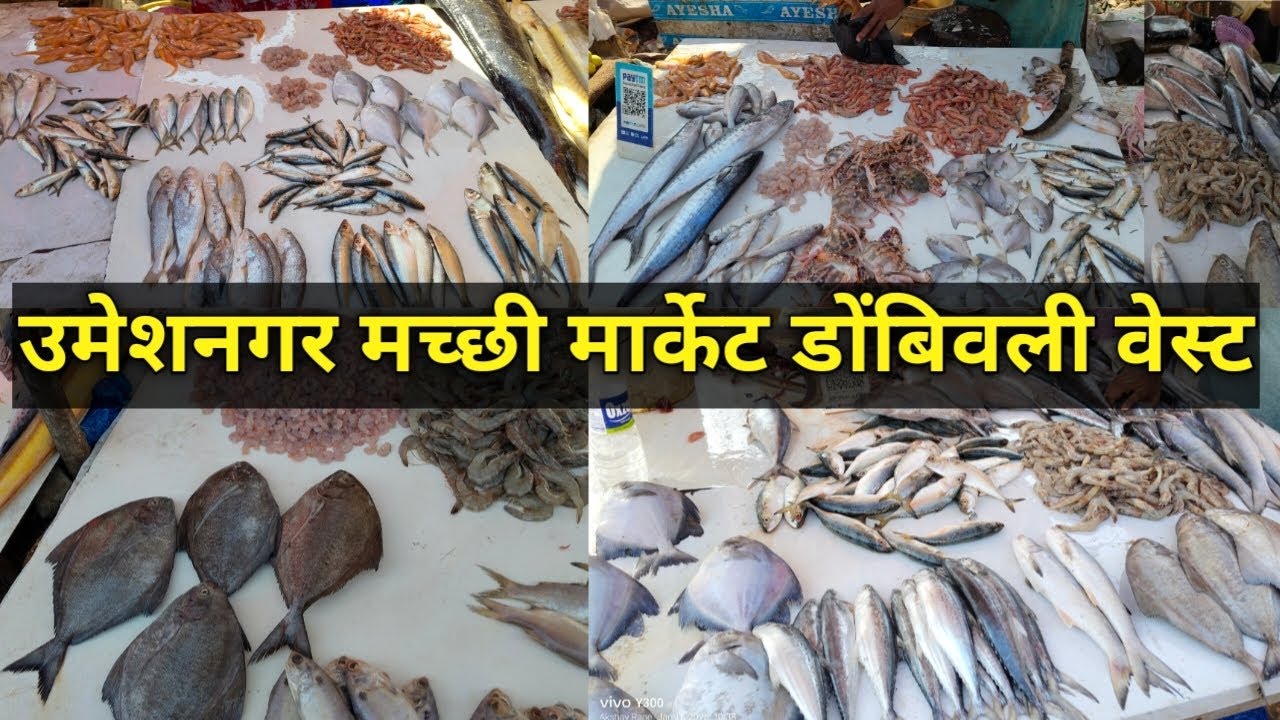 उमेशनगर मच्छी मार्केट डोंबिवली वेस्ट Dombivali Fish Market Umesh nagar Akshay Rane Vlogs