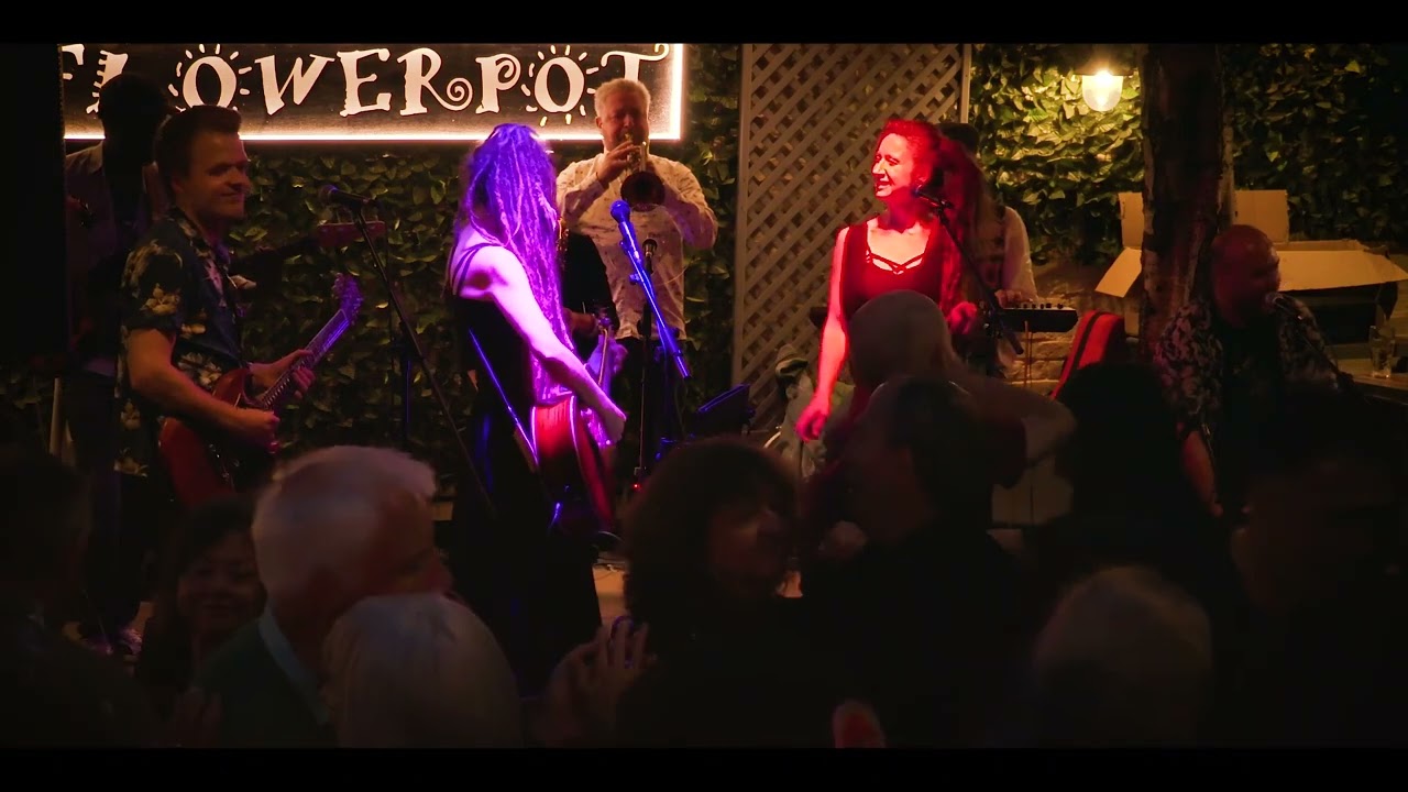 "Guantanamera" - The Sugar Tree