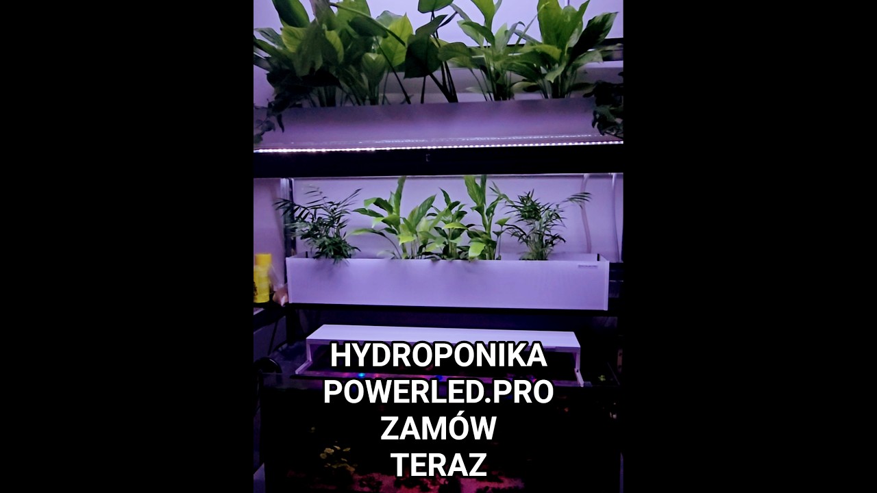 Hydroponika do akwarium powerled.pro 