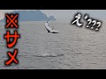 【釣りAQUA日記】