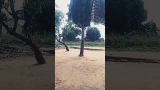 Chakacha #viral #bongo  #diamond  #zuchu