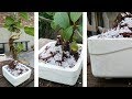 How to Make a Bonsai Pot? - BEAUTIFUL, White & Shiny!