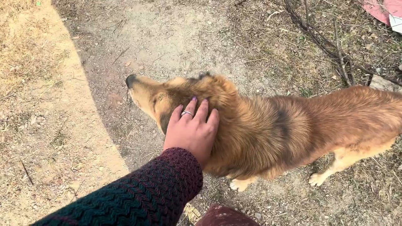 मेरी लड़ाई हो गई 💁 ll मेरी बहन ने पकड़े मेरे पैर 😱