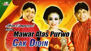 Cak Diqin - Mawar Alas Purwo (Official Music Video)