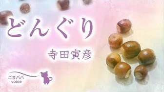 寺田寅彦 Youtube