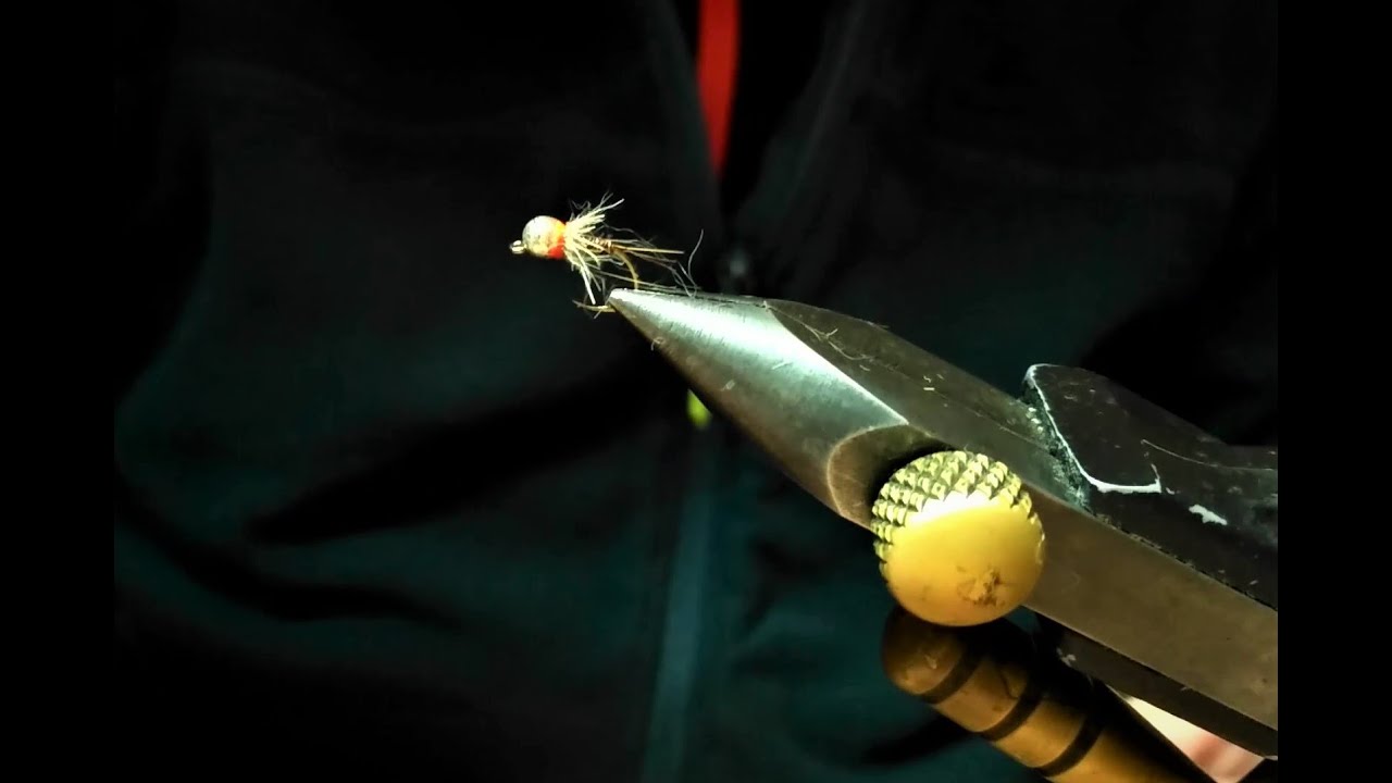 Ninfa de primeros de temporada.