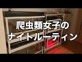 【ルーティン】20匹の爬虫類と暮らす女子のナイトルーティン🌙