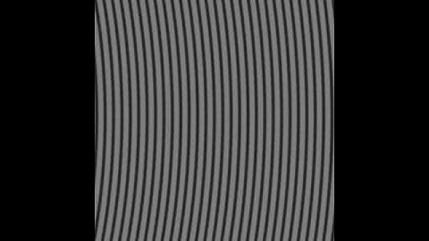 Spinning disk confocal simulation - disk scanning