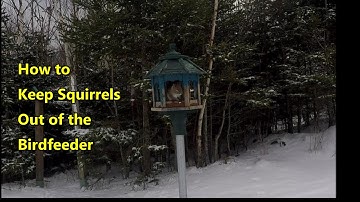 Squirrel Proof your Birdfeeder - DIY build