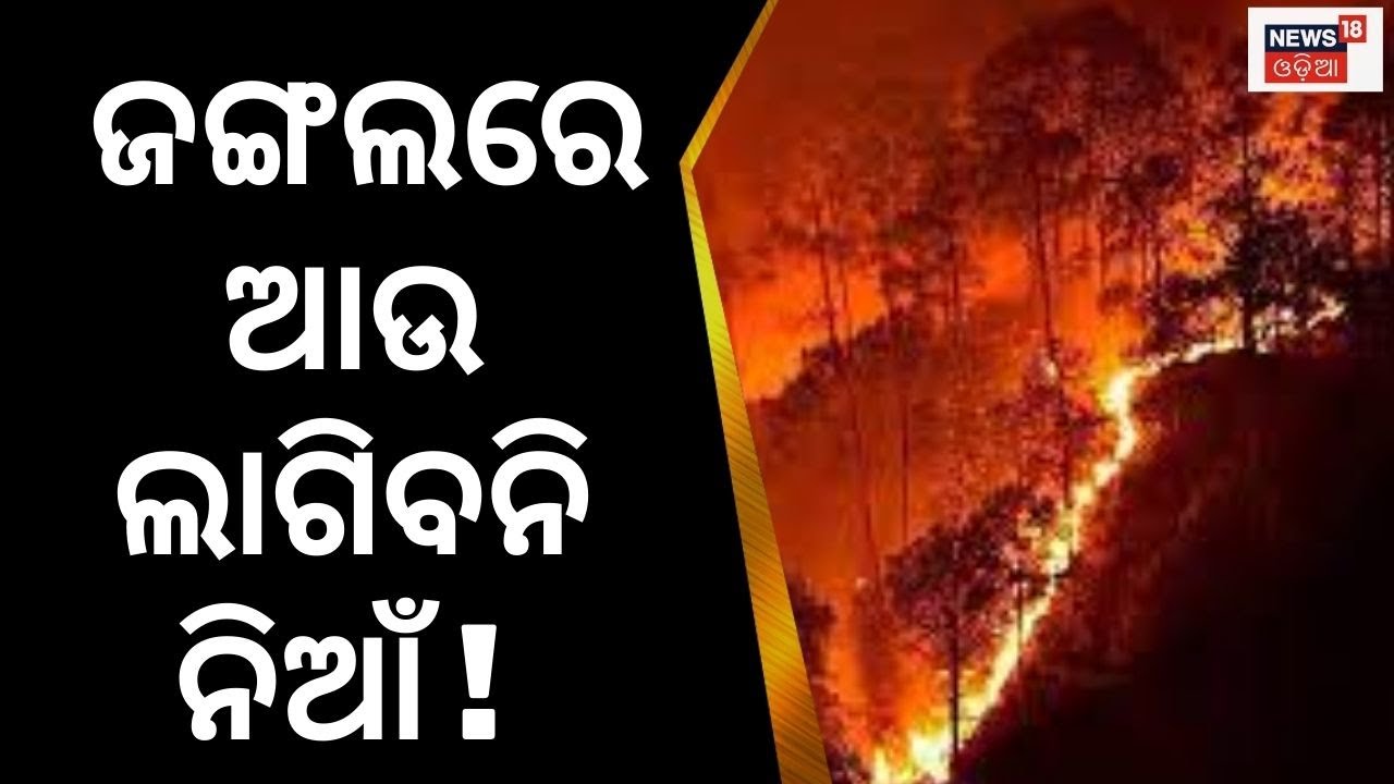 Forest Fire | ଜଙ୍ଗଲରେ ଆଉ ଲାଗିବନି ନିଆଁ ! | Mayurbhanj Forest Fire ...