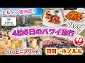 【ハワイ旅行2024】ワイキキ最大級のリゾートで過ごすハワイ4泊6日旅行Vlog❗️ヒルトンハワイアンビレッジ宿泊記🌺ワイキキでオススメのハッピーアワー｜JALホノルル便（羽田）