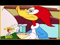 El Pájaro Loco en Español | Compilación de 1 Hora | Dibujos Animados en Español