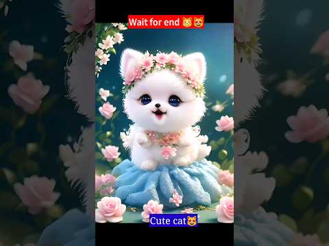 how to cat video.  can you see  billi ka video #shorts #viral