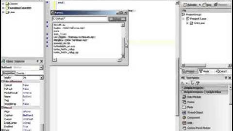 Delphi Training Series: Programming 101 Episode 9
