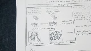 هكيفاش  تعرف مورثة محمولة على الصبغيات الجنسية.