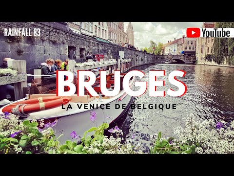 Bruges : Visite En Bateau, Canal De Bruges , Belgique