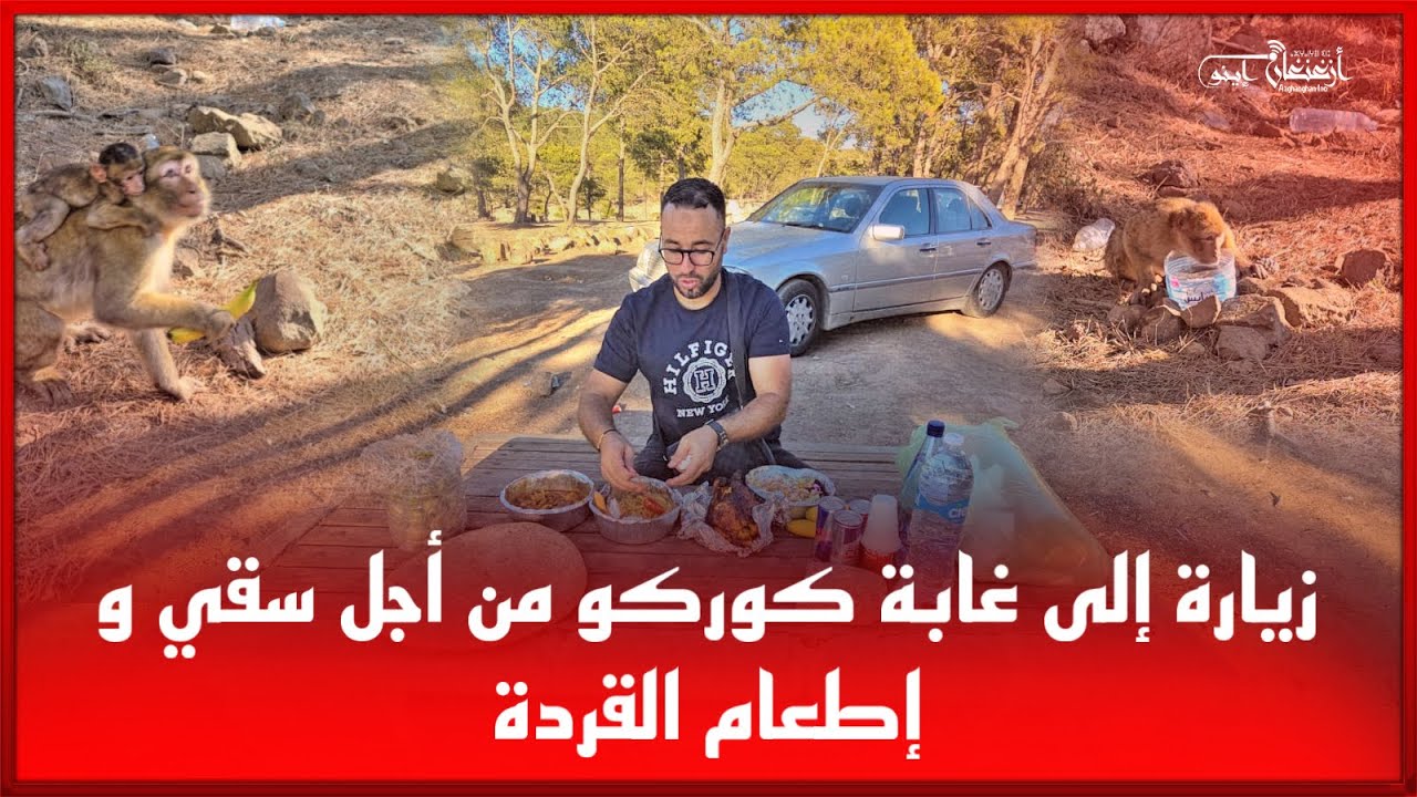 🔴زيارة إلى غابة كوركو من أجل سقي و إطعام القردة