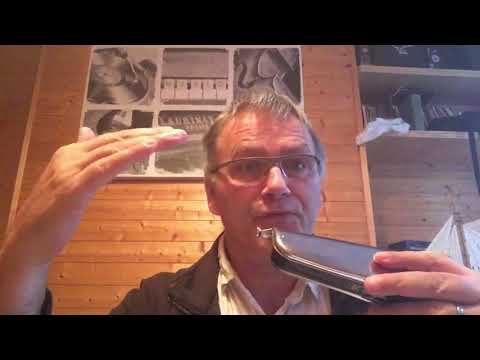 The Chromatic Harmonica - How to play Chromatic Notes, HOLD the harmonica