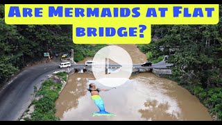 WOW! MERMAIDS AT, FLAT BRIDGE, JAMAICA🇯🇲 ?