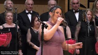 Görmeseydim Seni Gönül Gözüyle