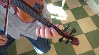 0048 Turkey In The Straw