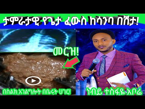 ቪዲዮ: እጅግ በጣም ሰነፎች ወንዶች በዞዲያክ ምልክት