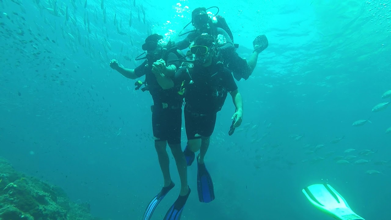 Scuba Diving YouTube