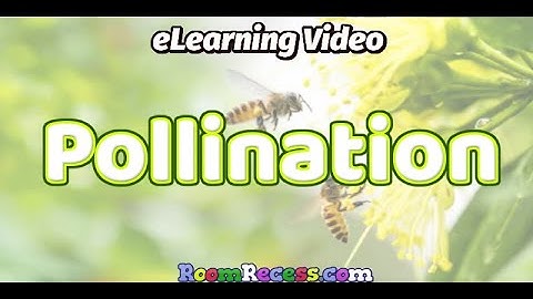 Pollenation eLearning Science Lesson for Kids