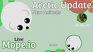 Mope.io Live XIX: New Arctic Animals! | Thanks for 500 Subscribers! | [TB] Teddy Bear 🐻 Mega Stream