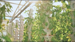 Growing Wyomings Controlled Environment Agriculture