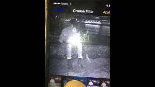 Choose Filter Apply Cancel