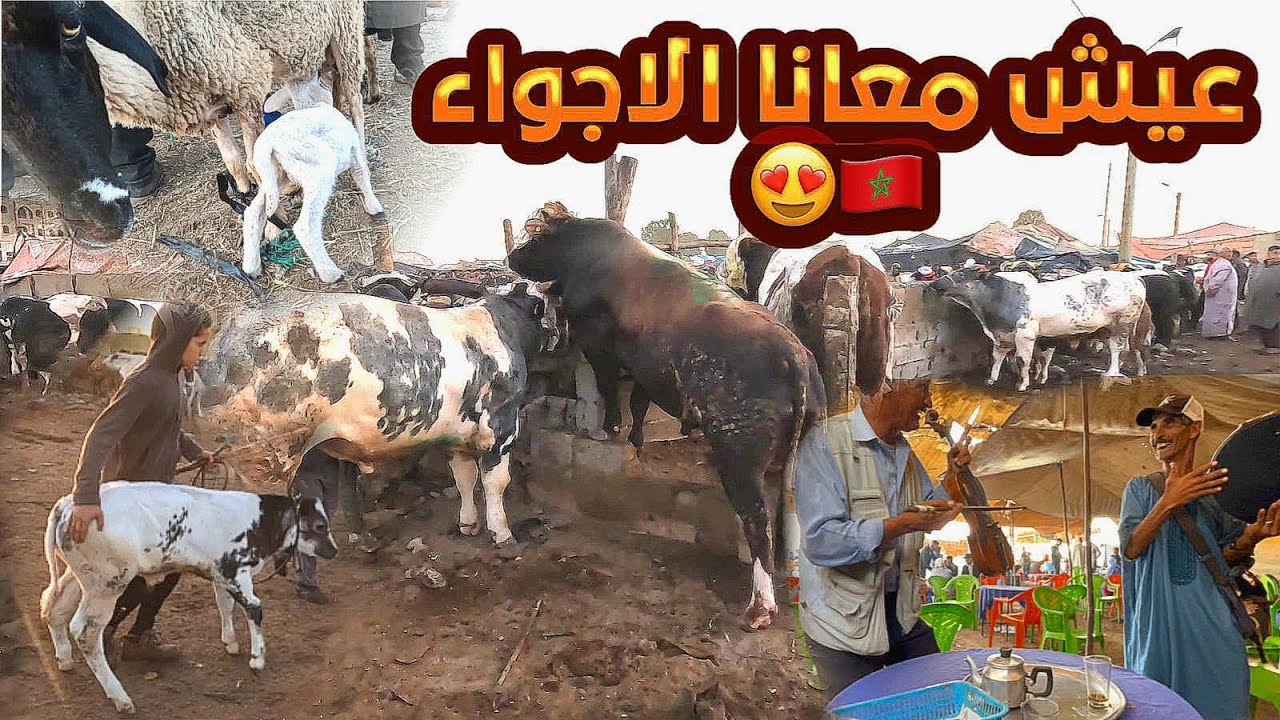 عيش معانا الأجواء وسط سوق الأربعاء بن سليمان 🇲🇦 🤩