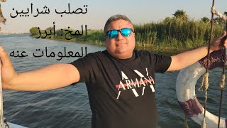 تصلب شرايين المخ: أبرز المعلومات عنه