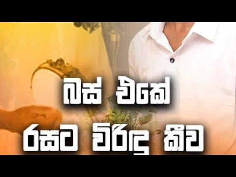 ක හ මද ක ල ලග ව ඩ බස එක හ ඩට ව ර ඳ ක ව පස ඳ ග අල ත එක Matath Hora Viridu Tik Tok