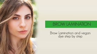 Vegan Line Brow Ltion And Dye Step By Step Tutorial