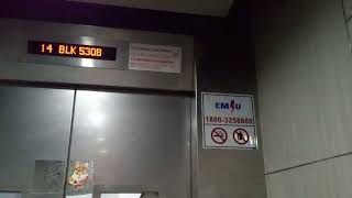 Block 530B Pasir Ris Drive 1 Sigma Lift (Lift A)
