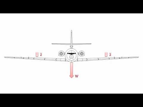 Wing Shear Force thumbnail
