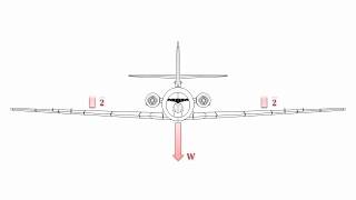 Wing Shear Force