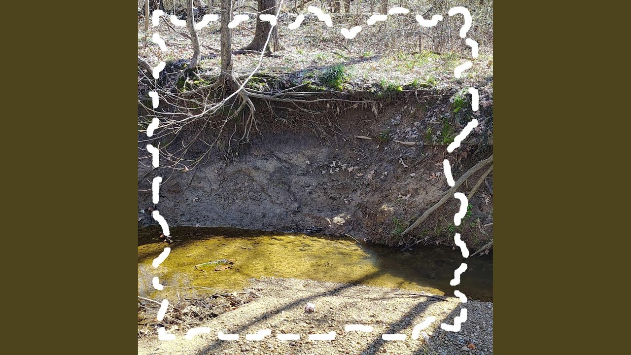 Guarda wander su YouTube Guarda wander su YouTube