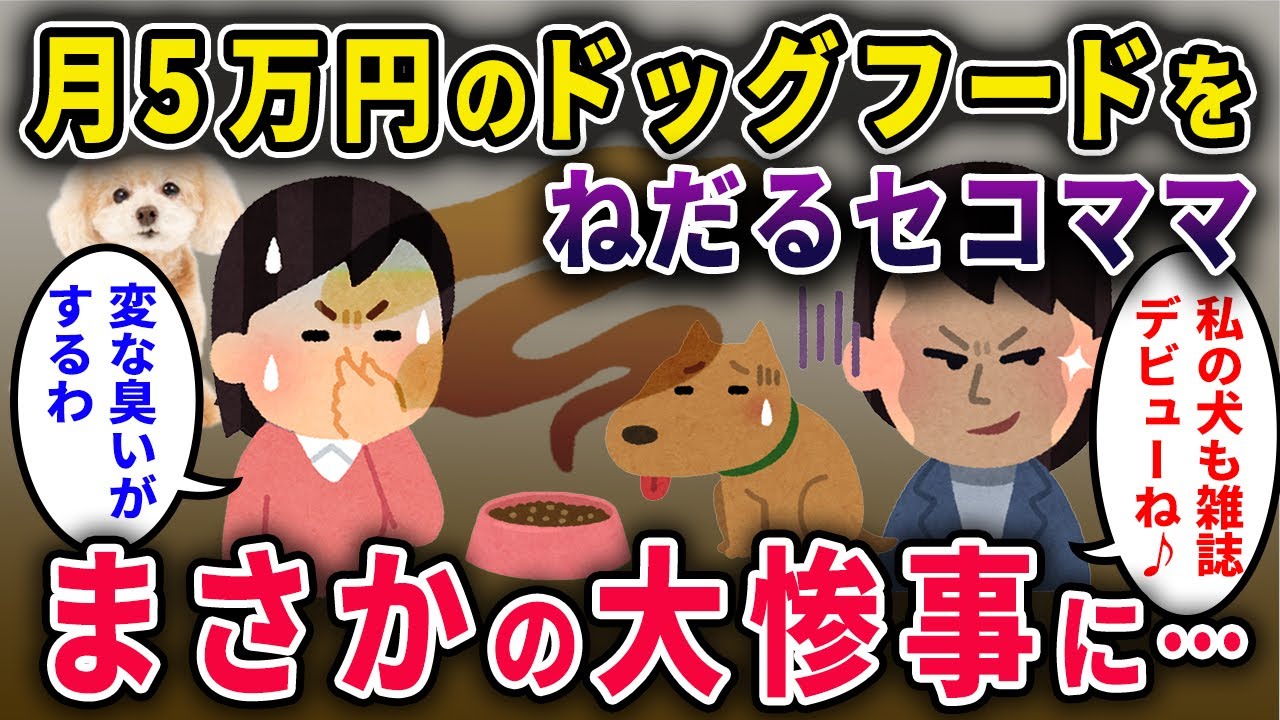 【セコママ】「私のワンちゃんも雑誌デビューよ♪」月5万の高級ドッグフードをねだった→まさかの大惨事に...【2chスカっと・ゆっくり解説】