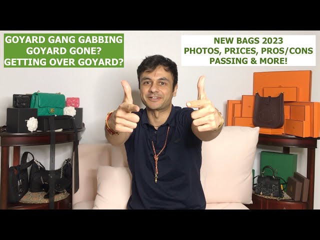 New Goyard Rouette Bag Part Deux July 2023 - #GoyardGangGabbing + Life and  Channel Update 