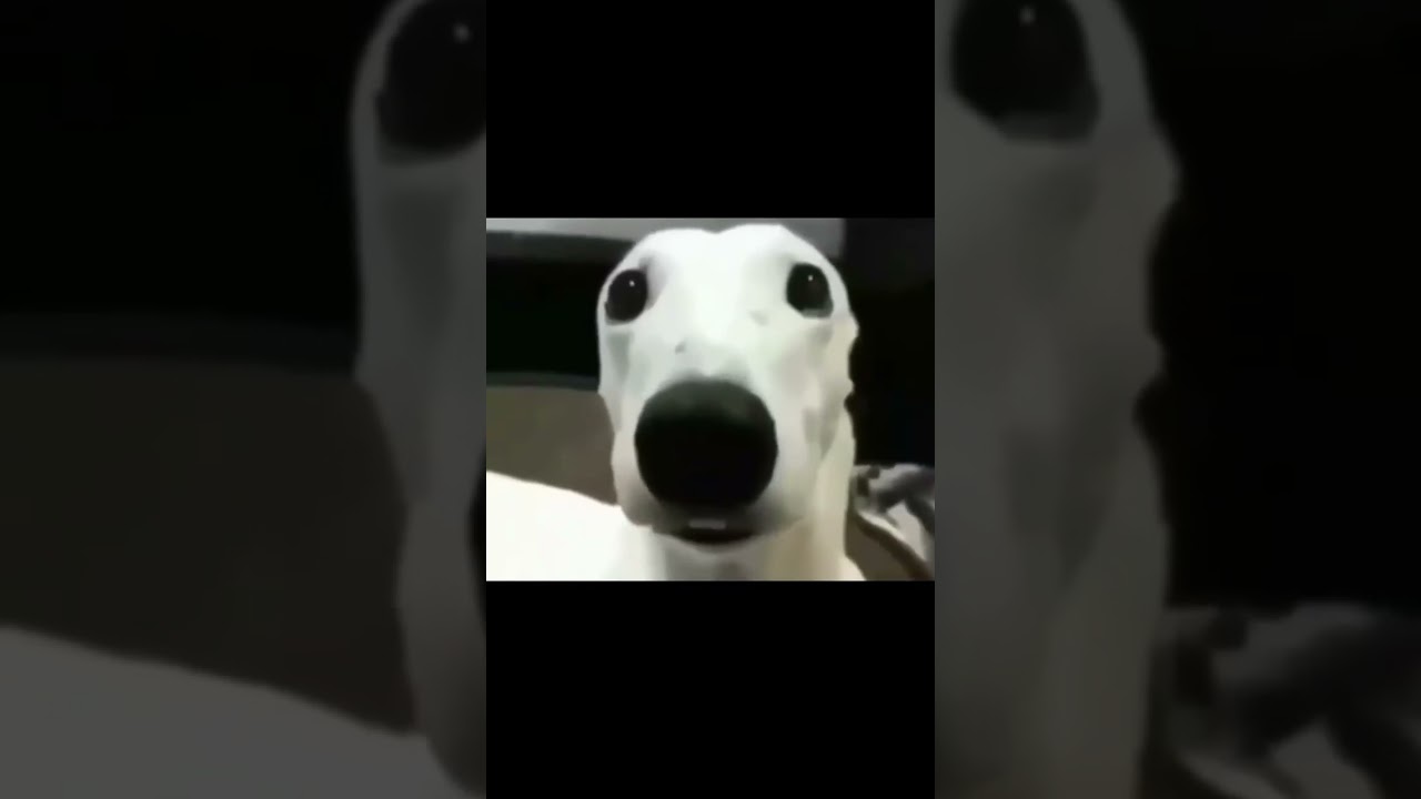 Comentarios DIABÓLICOS de Instagram Reels 🥀🥀